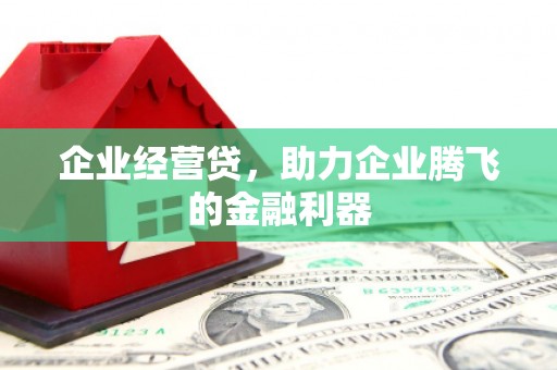 鹿泉企业经营贷，助力企业腾飞的金融利器