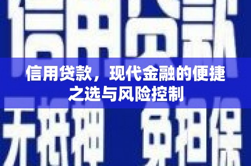 鹿泉信用贷款，现代金融的便捷之选与风险控制