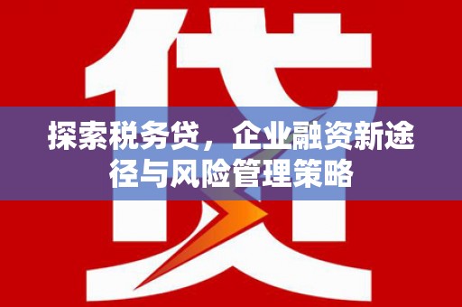 鹿泉探索税务贷，企业融资新途径与风险管理策略