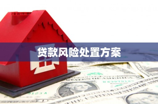 鹿泉贷款风险处置方案