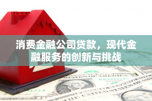 鹿泉消费金融公司贷款，现代金融服务的创新与挑战
