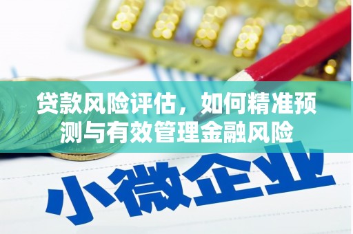 鹿泉贷款风险评估，如何精准预测与有效管理金融风险