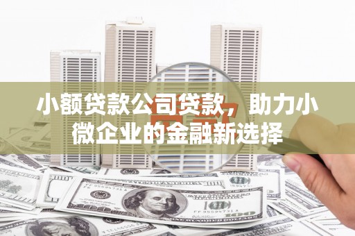鹿泉小额贷款公司贷款，助力小微企业的金融新选择