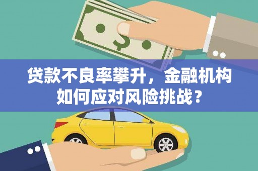 鹿泉贷款不良率攀升，金融机构如何应对风险挑战？