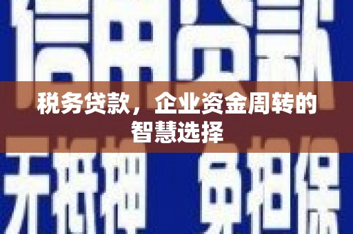 鹿泉税务贷款，企业资金周转的智慧选择