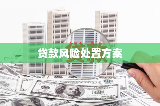 鹿泉贷款风险处置方案