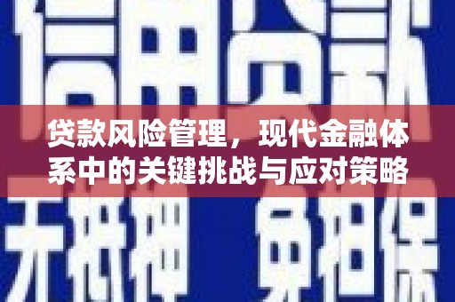 鹿泉贷款风险管理，现代金融体系中的关键挑战与应对策略