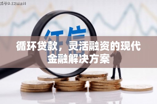 鹿泉循环贷款，灵活融资的现代金融解决方案