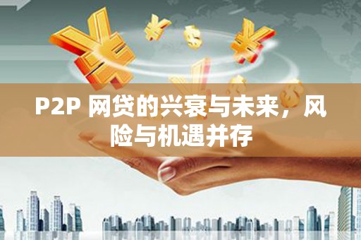 鹿泉P2P 网贷的兴衰与未来，风险与机遇并存
