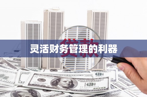 鹿泉灵活财务管理的利器
