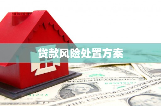 鹿泉贷款风险处置方案