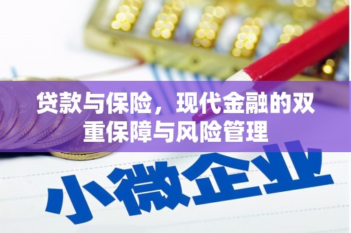 鹿泉贷款与保险，现代金融的双重保障与风险管理