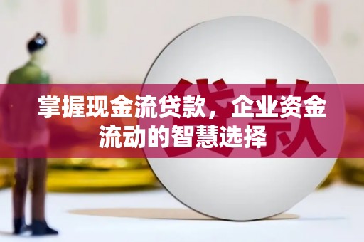 鹿泉掌握现金流贷款，企业资金流动的智慧选择