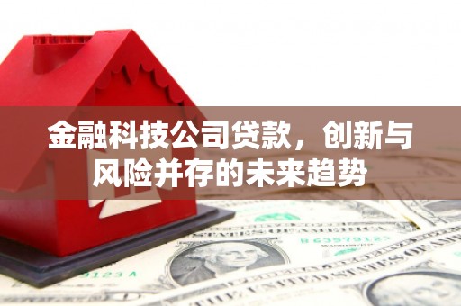 鹿泉金融科技公司贷款，创新与风险并存的未来趋势