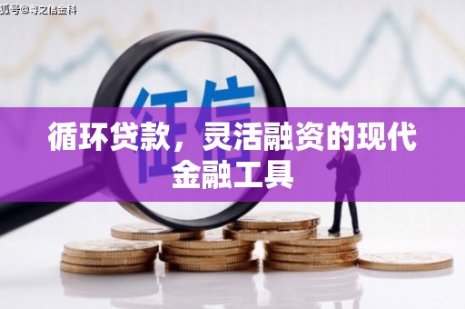 鹿泉循环贷款，灵活融资的现代金融工具