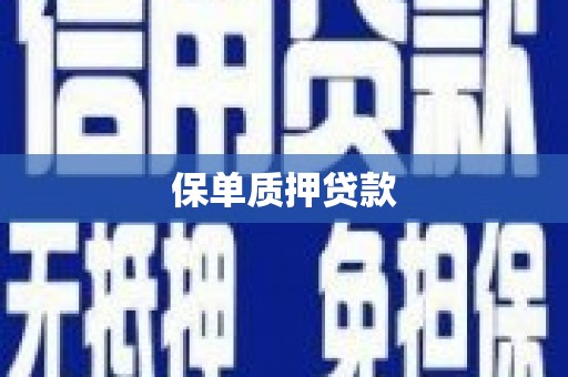 鹿泉保单质押贷款