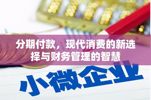 鹿泉分期付款，现代消费的新选择与财务管理的智慧