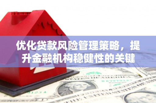 鹿泉优化贷款风险管理策略，提升金融机构稳健性的关键
