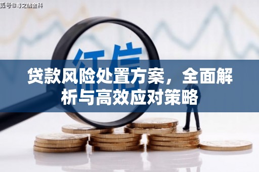 鹿泉贷款风险处置方案，全面解析与高效应对策略