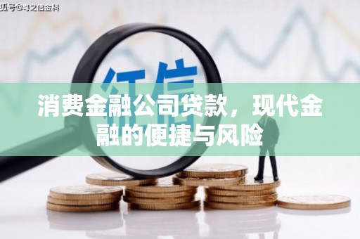 鹿泉消费金融公司贷款，现代金融的便捷与风险