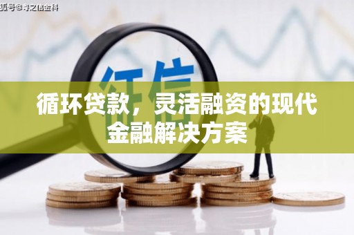 鹿泉循环贷款，灵活融资的现代金融解决方案