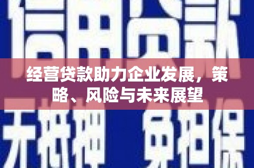 鹿泉经营贷款助力企业发展，策略、风险与未来展望