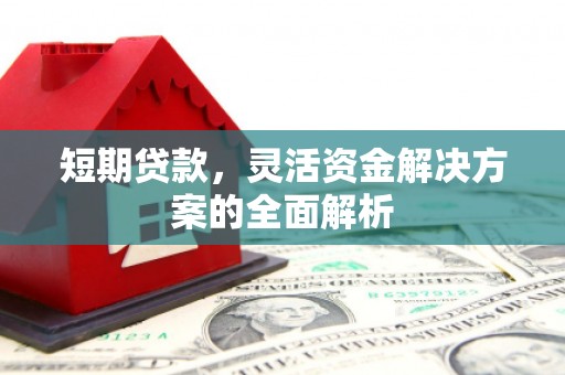 鹿泉短期贷款，灵活资金解决方案的全面解析