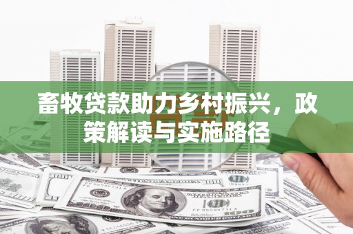 鹿泉畜牧贷款助力乡村振兴，政策解读与实施路径