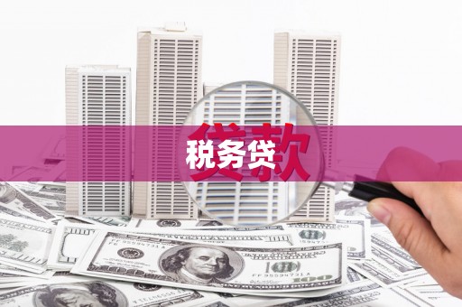 鹿泉税务贷