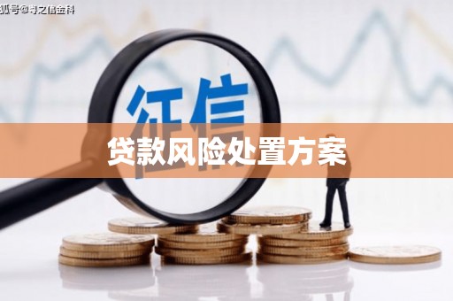 鹿泉贷款风险处置方案