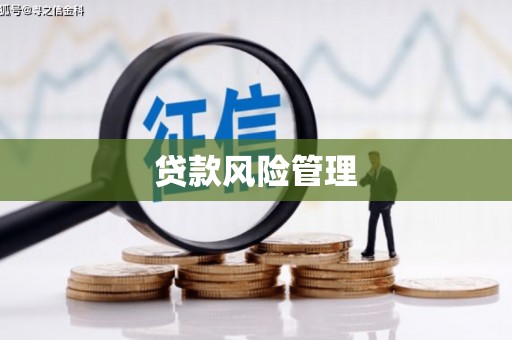 鹿泉贷款风险管理