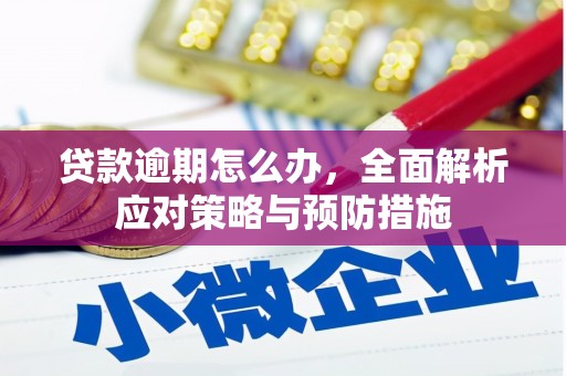 鹿泉贷款逾期怎么办，全面解析应对策略与预防措施