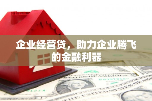 鹿泉企业经营贷，助力企业腾飞的金融利器