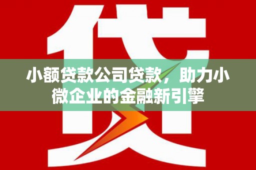 鹿泉小额贷款公司贷款，助力小微企业的金融新引擎