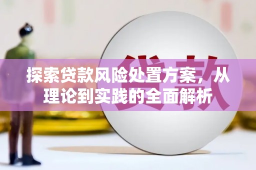 鹿泉探索贷款风险处置方案，从理论到实践的全面解析