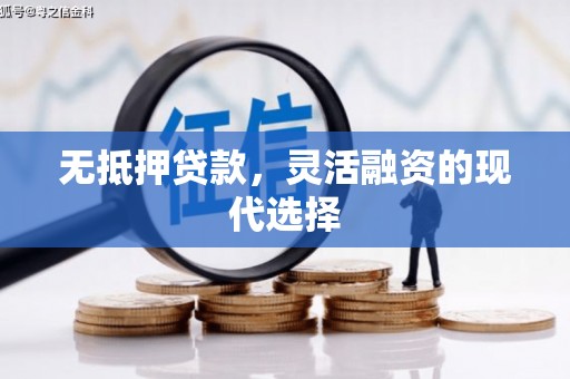 鹿泉无抵押贷款，灵活融资的现代选择