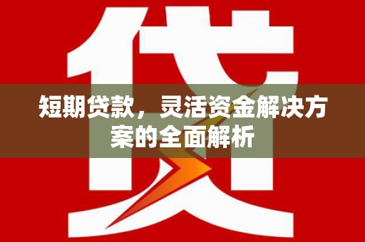 鹿泉短期贷款，灵活资金解决方案的全面解析