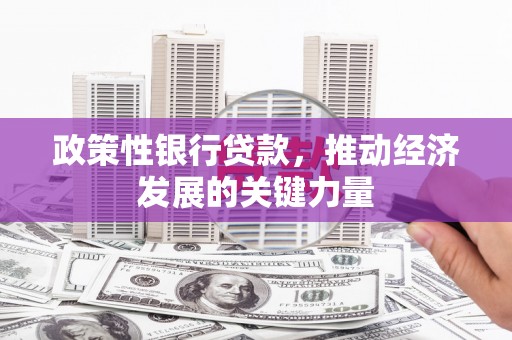 鹿泉政策性银行贷款，推动经济发展的关键力量