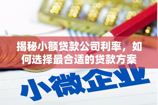 鹿泉揭秘小额贷款公司利率，如何选择最合适的贷款方案