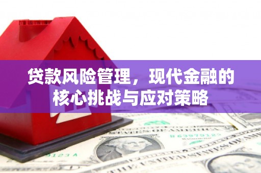鹿泉贷款风险管理，现代金融的核心挑战与应对策略