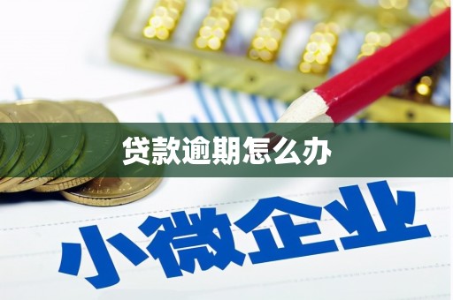 鹿泉贷款逾期怎么办
