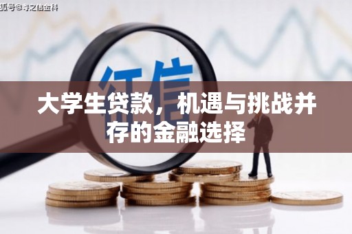 鹿泉大学生贷款，机遇与挑战并存的金融选择