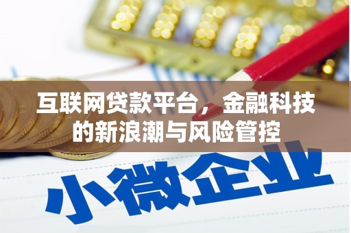 鹿泉互联网贷款平台，金融科技的新浪潮与风险管控