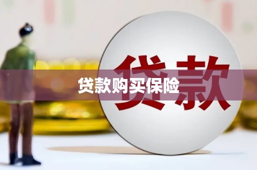 鹿泉贷款购买保险