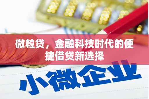 鹿泉微粒贷，金融科技时代的便捷借贷新选择