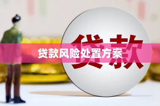 鹿泉贷款风险处置方案
