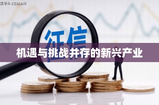 鹿泉机遇与挑战并存的新兴产业