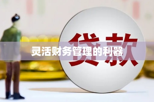 鹿泉灵活财务管理的利器
