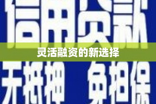 鹿泉灵活融资的新选择