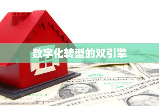 鹿泉数字化转型的双引擎